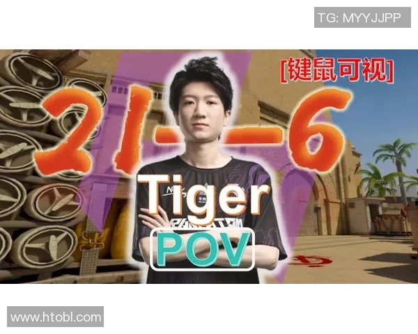 老虎竞技vs老男孩